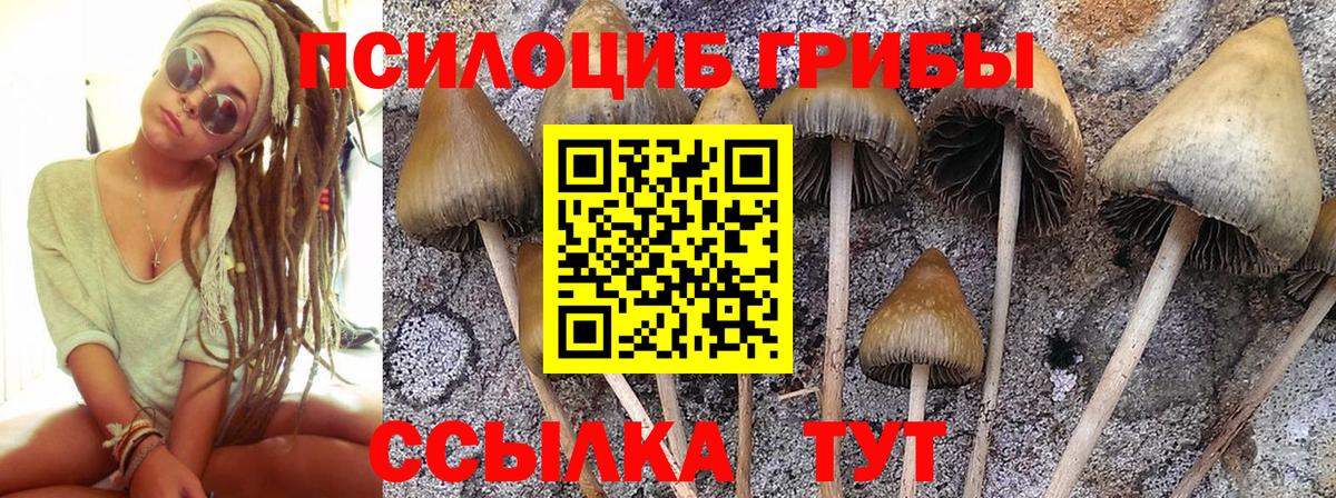 Якутск  Галлюциногенные грибы MAGIC MUSHROOMS  Вход с VPN 